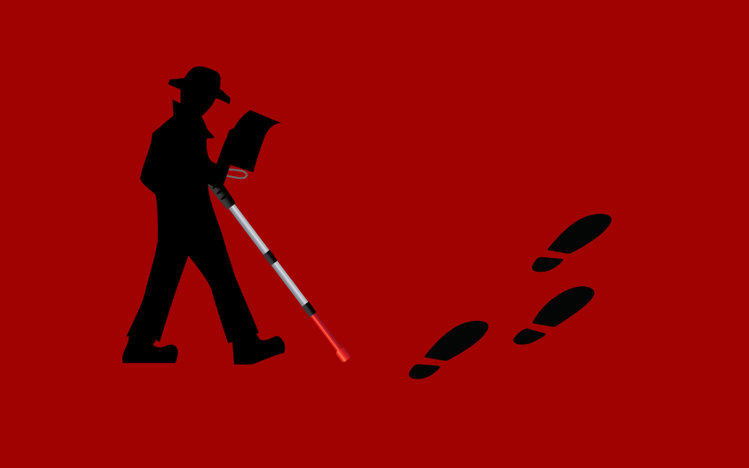 Volunteers for the three days of the Festival